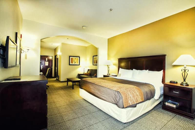 Comfort & Love Field-dallas Market Center 3* Dallas