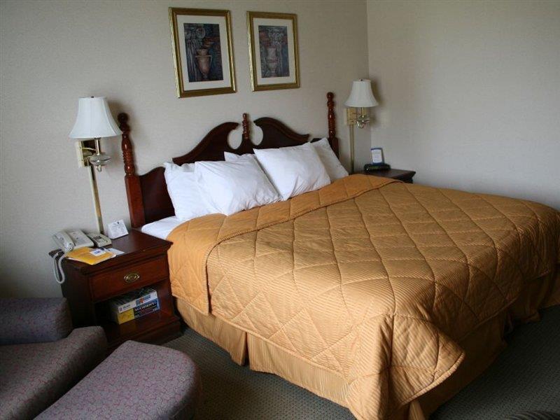Hotel Comfort & Love Field-dallas Market Center